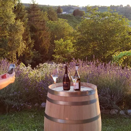 Matea Slowliving * Cortanovci