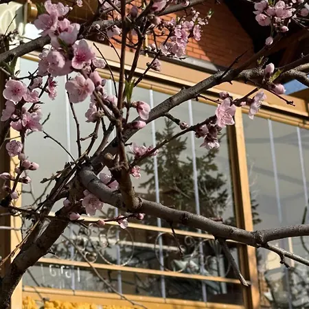 شاليه Matea Slowliving *